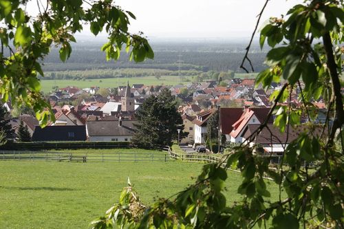 Berufsmesse des Rotary Clubs in der Räuschberghalle Alzenau-Hörstein